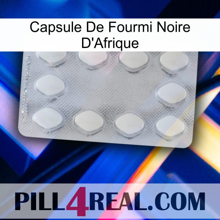 Africa Black Ant Capsule 16